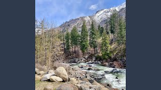 River Bank
