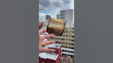 Roasted Marshmallow