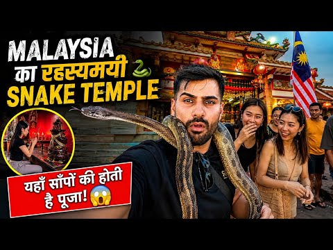 Shocking Rituals at Malaysia's Famous Snake Temple.