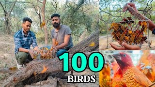 Releasing 100 Birds in Jungle ❤️ || 100K Subscribers Special 🤟 || Pets vlog