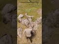 Medieval Dynasty -Tip For Faster Rock Extraction #shorts #gamingtips #survivalgame