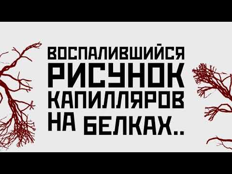 Fonetic - "В подлунном"