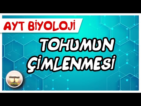 AYT Biyoloji | Tohumun Çimlenmesi #sayfa214