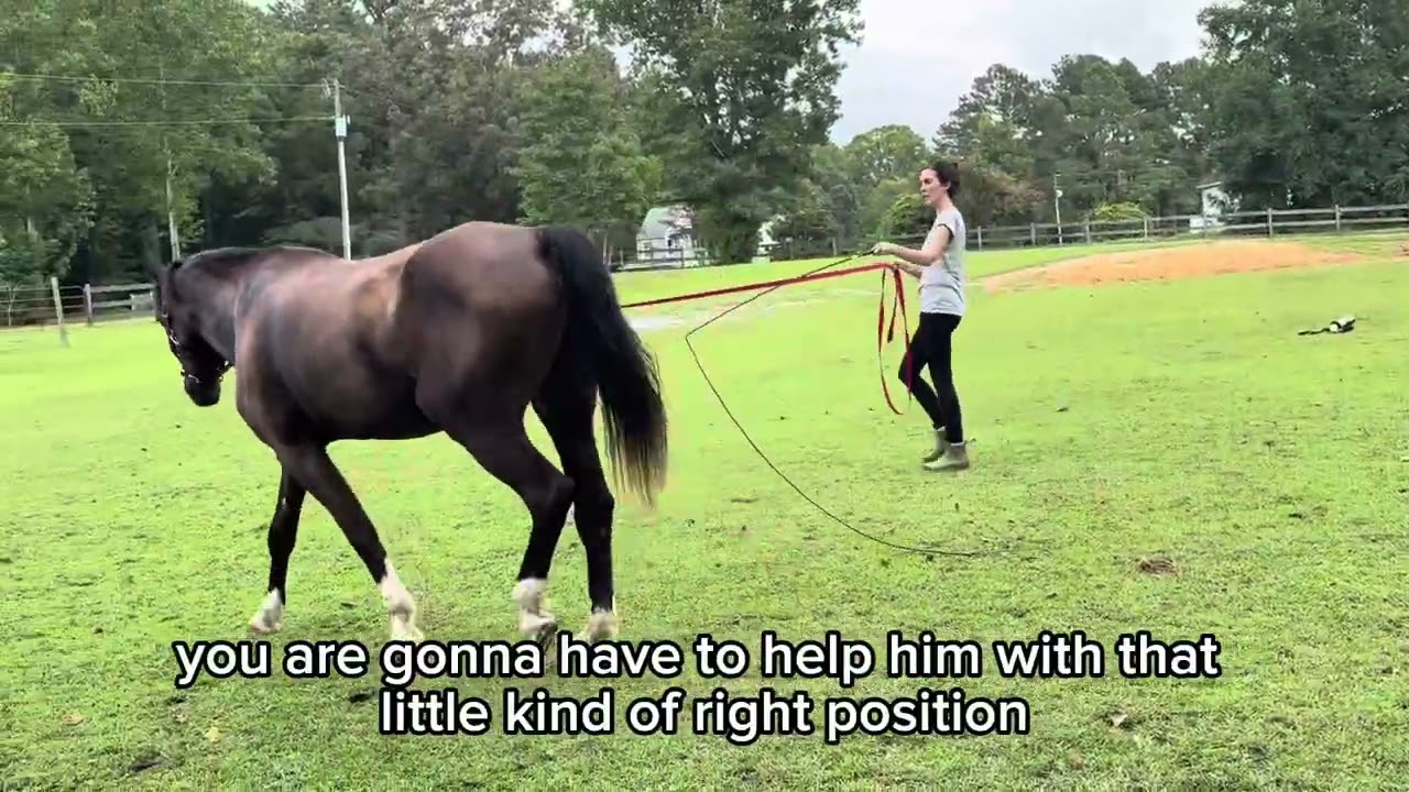 Softening the stiff-sided horse
