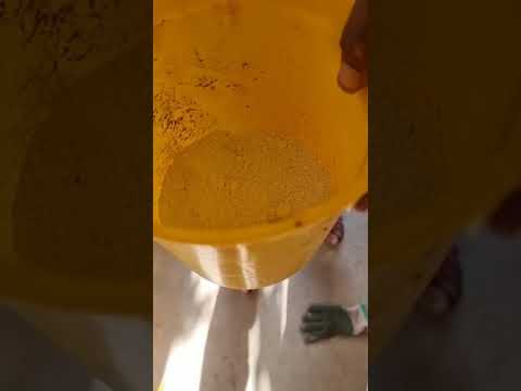 علاج الموت الرجعي لليمون