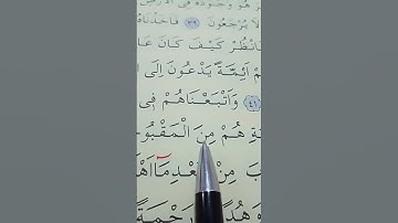 سورة القصص الأية 41 إلى 43 بصوت سعد الغامدي