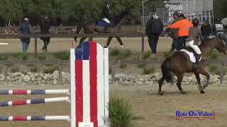 071S Lauren Crabtree on Derroon Diamond Open Novice Show Jumping Galway Downs Feb. 2024