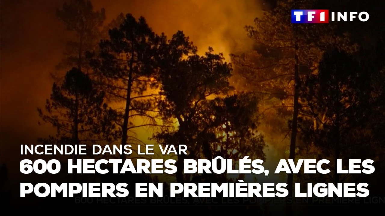 Incendie dans le Var : 600 hectares brûlés, avec les pompiers en premières lignes