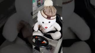 Car Decorated With Flower