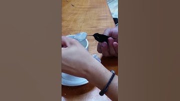 Saving a Hummingbird in Costa Rica