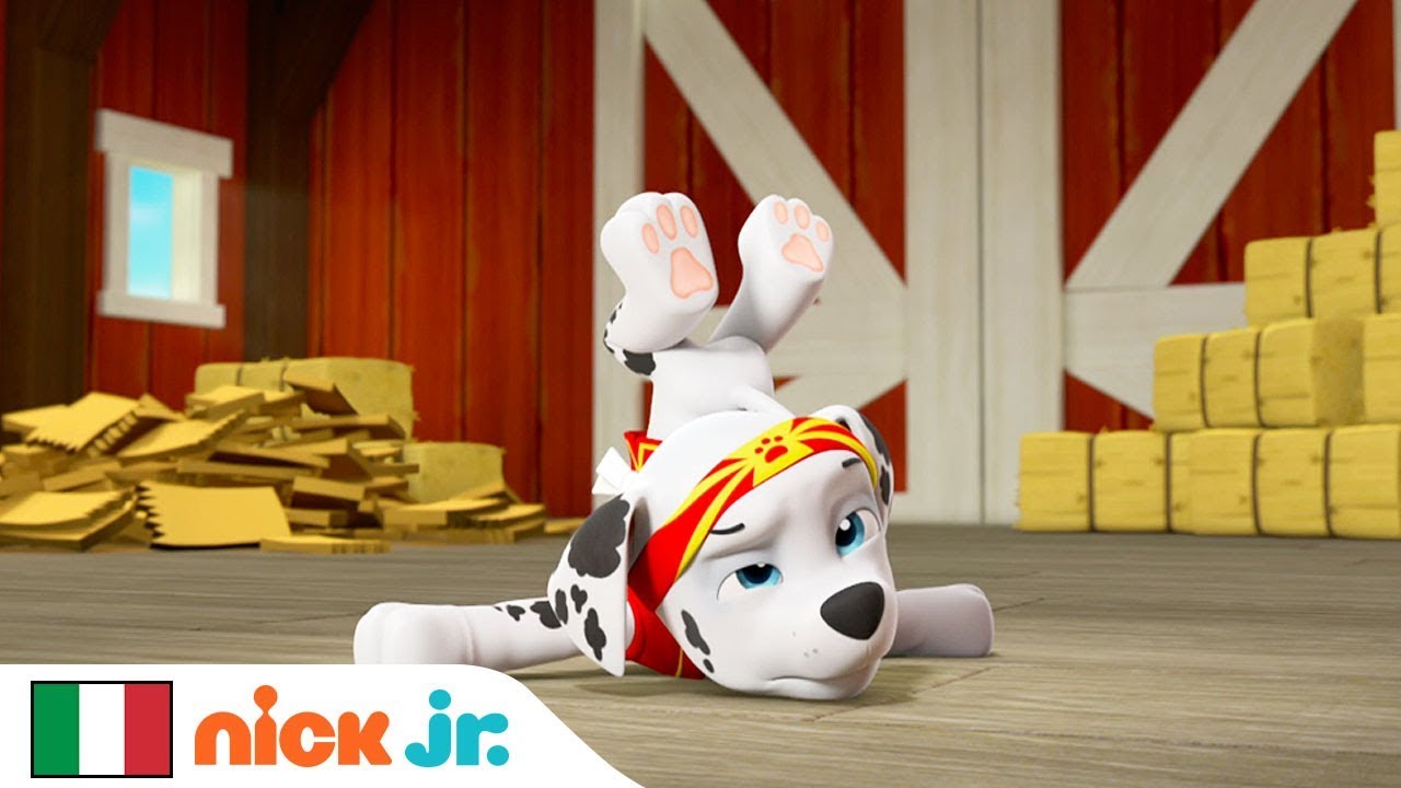 Can Fu  contro Gatt Jitsu   PAW Patrol  Nick Jr