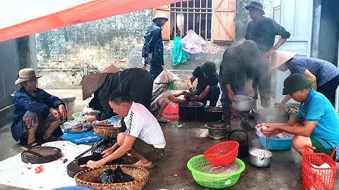 Lợn Quê 150 Kg Chia Phần Lòng Lợn Tiết Canh Ngày Mưa Bão Vui Nhất Quê Lúa Thái Bình