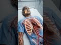 মানুষ যখন কোমাতে থাকে, তখন তার মস্তিষ্কের ভেতরে ঠিক কী ঘটে?