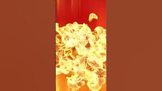 MOJO | DERHAKA #shortsvideo #shorts