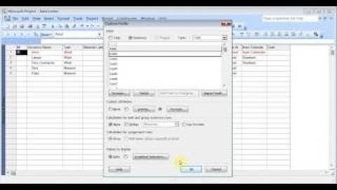 Microsoft Project 2007 Pt 4 (Advanced Formatting, Custom Fields vesves Macros)