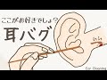 【ASMR】ここがお好きでしょ?耳バク Ear Cleaning 【No Talking】