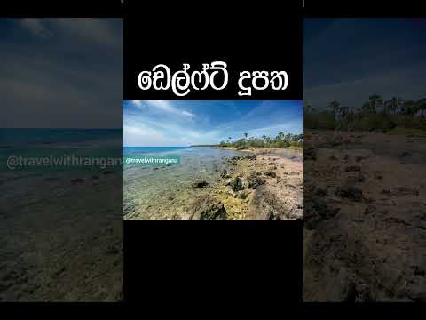 ශ්‍රී ලංකාවට අයත් විශාලතම දූපත් 5 #srilanka #travel #shorts #trending
