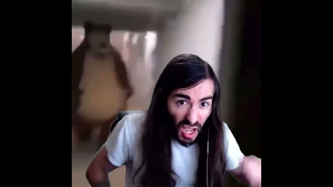 bear chasing moistcr1tikal down hall