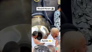 Part119 Kegiatan Perjalanan Jamaah Haji Tamu Allah Seluruh Dunia 2026 #jamaah #haji #makkah #madinah
