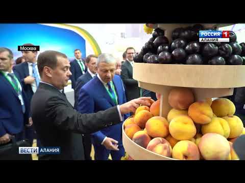 Смотреть фото Сегодня в Москве на территории «ВДНХ» открылась Российская агропромышленная выставка «Золотая осень новости россия москва Смотреть фото Сегодня в Москве на территории «ВДНХ» открылась Российская агропромышленная выставка «Золотая осень новости россия москва