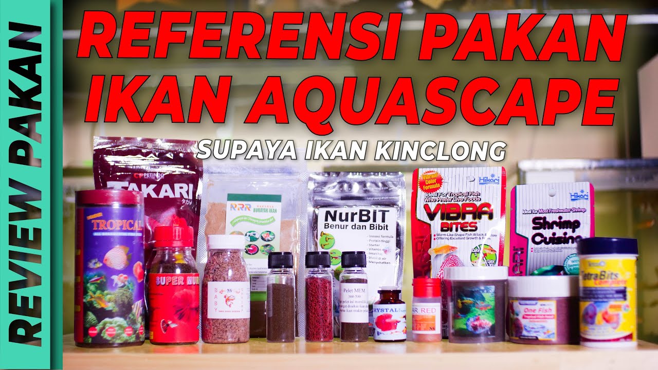 BIKIN WARNA IKAN JADI CERAH??? Referensi pakan Ikan Aquascape