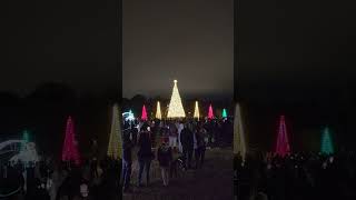 Christmas Countdown