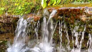 Звуки природы, Шум водопада и Пение лесных Птиц успокаивает - видео 1 час