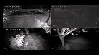 Camera night vision problem