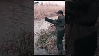 Новое место, перпектива поимки хищника   #assistancetv #рыбалка #fishing #ультралайт #спининг