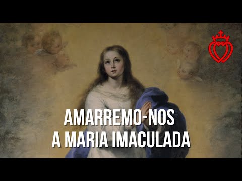 Let us bind ourselves to Mary Immaculate.