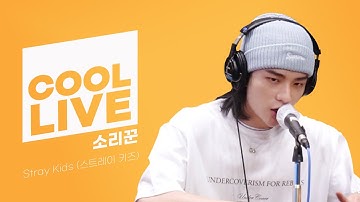 쿨룩 LIVE ▷Stray Kids(스트레이 키즈) 