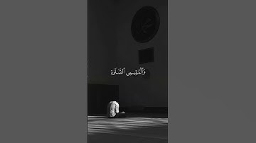 #الآن #تلاوة_خاشعة #اكسبلور #تيك_توك #ترند #المصحف_الشريف