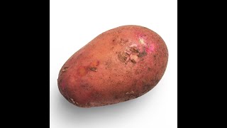 The Marvels Of Potato Programming