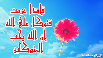 سورة هود كاملة بصوت حسن محمد تلاوة جميلة خاشعة مبكية