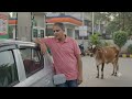 Compressed bio gas from Goshalas #biogas