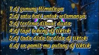 DJ gunung himalaya dj tik tok