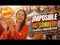 Gipsy Kings 😄 | ¡IMPOSIBLE Escuchar Esto y No Sonreír! | Flamenco Alegre 2026 | Quejío Records
