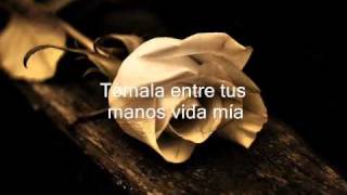 La Rondalla De Saltillo Dejare Una Flor