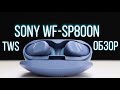 SONY WF-SP800N обзор TWS наушников