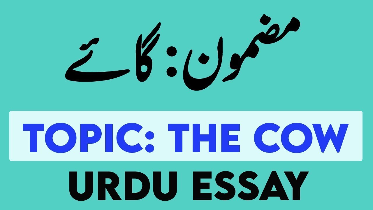 cow essay in urdu for class 2