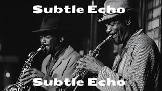 Playlist | 적당한 잔잔함이 필요하면 | Subtle Echo Playlist