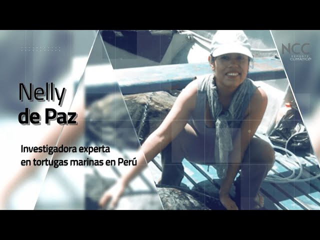 Reporte Climático 224 | Luces para las Tortugas