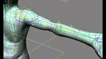Animation: Quaternion roll distribution
