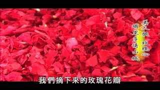【MIT台灣誌 #438】美人腿 玫瑰心~埔里多情山城  Part1