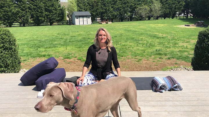 Yin yoga for Hips (featuring my dogs, unfortunately)