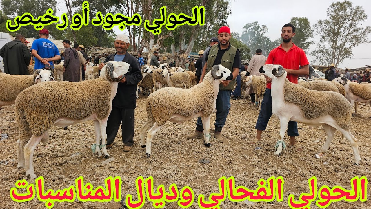 الله الله الحولي‼️الفحالي وديال المناسبات🌟في سوق الخميس🇲🇦سلا السهول 2025\07\10 مع الأثمنة فرجة ممتعة