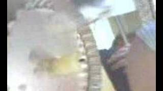 Explota Explotame Exploo 8