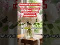 Peygamber Efendimizin (A.s.)En Çok Okuduğu 3 Dua🤲❤🌹#shortvideo #dua