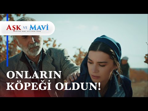 Mavi babasını tarlada görünce ÇILDIRDI! - Aşk ve Mavi 3. Bölüm