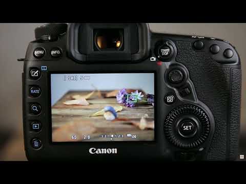 Автофокусировка Canon EOS 5D Mark IV в режиме реального времени